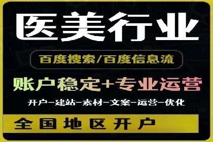 百度竞价广告投放全解析：成功案例揭秘